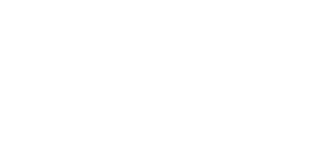 CDSS logo